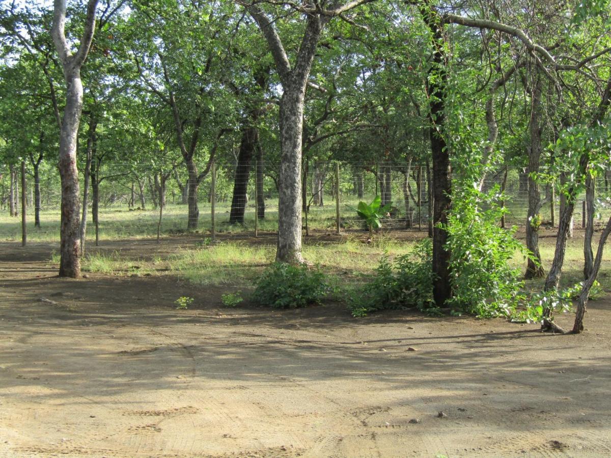 Pafuri Gate Guesthouse Mabalingwe Game Reserve Eksteriør bilde